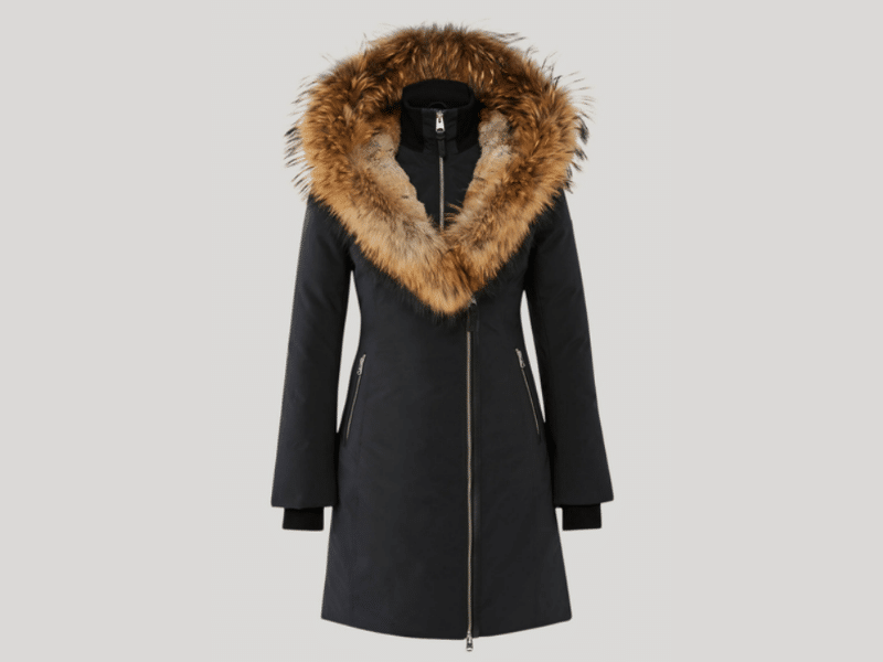 Best Winter Coats for Women 2021